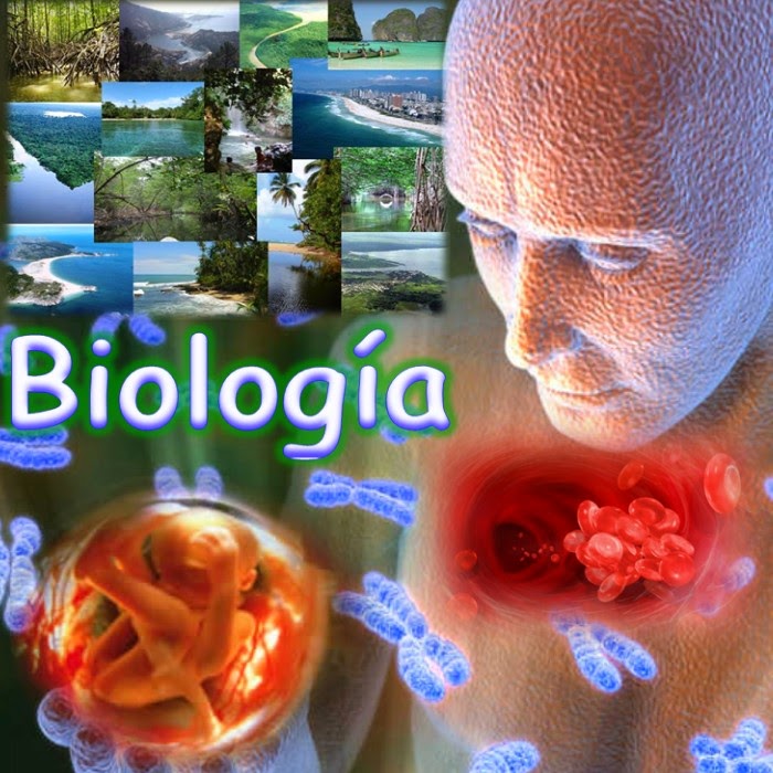 BIOLOGIA